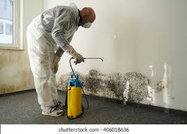 Why You Should Choose Our Mold Remediation Services in (206) 803-13630